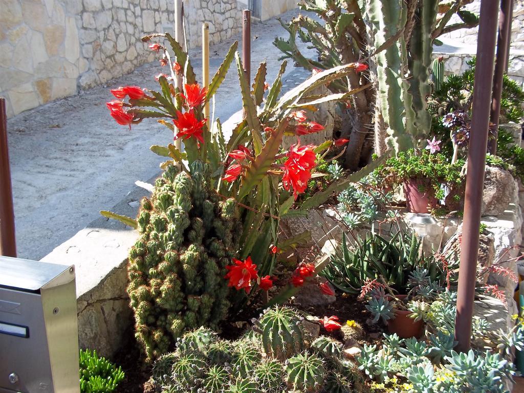 Apartments Katica Trogir Dış mekan fotoğraf